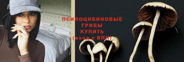 ГАЛЛЮЦИНОГЕННЫЕ ГРИБЫ Алексеевка