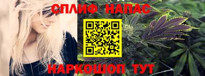 гидра Балашиха