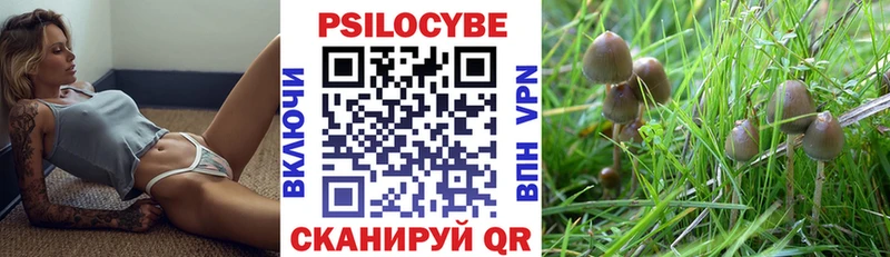 Псилоцибиновые грибы Psilocybine cubensis  закладки  Бахчисарай 