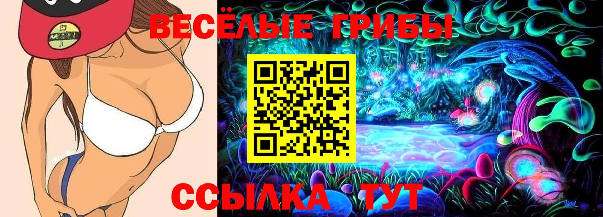 Бахчисарай  Галлюциногенные грибы Psilocybine cubensis  Вход с VPN 